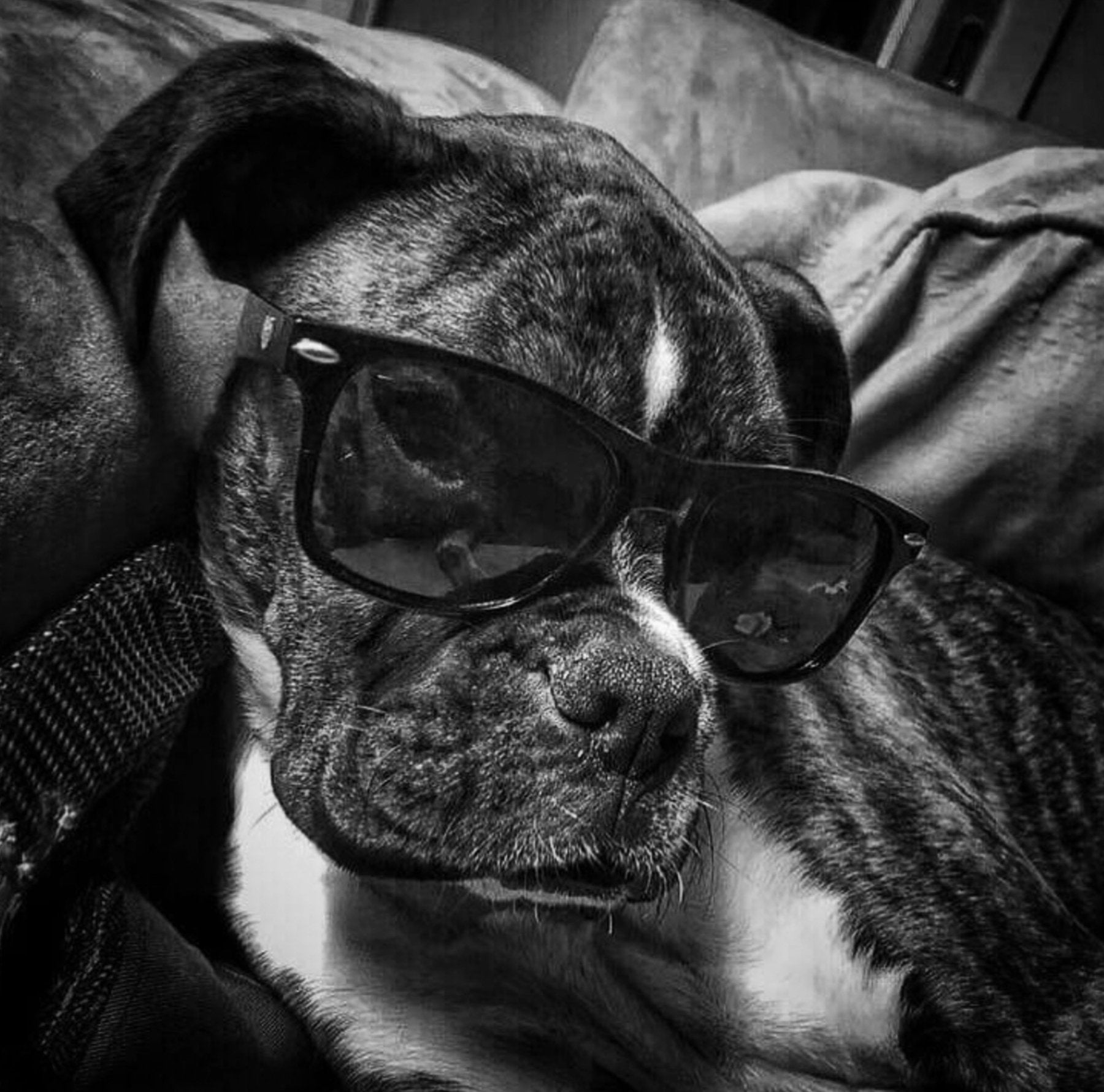 Tank – American Trigger Pullers