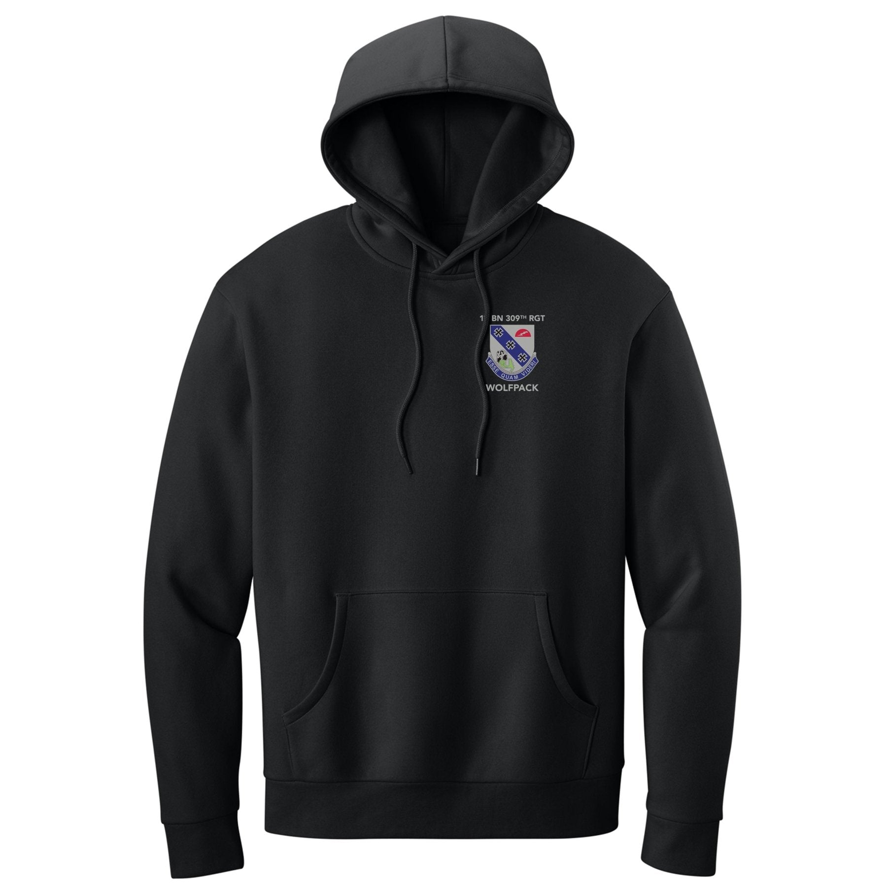 1st BN 309th RGT Hoodie - Small - Private Hoodie