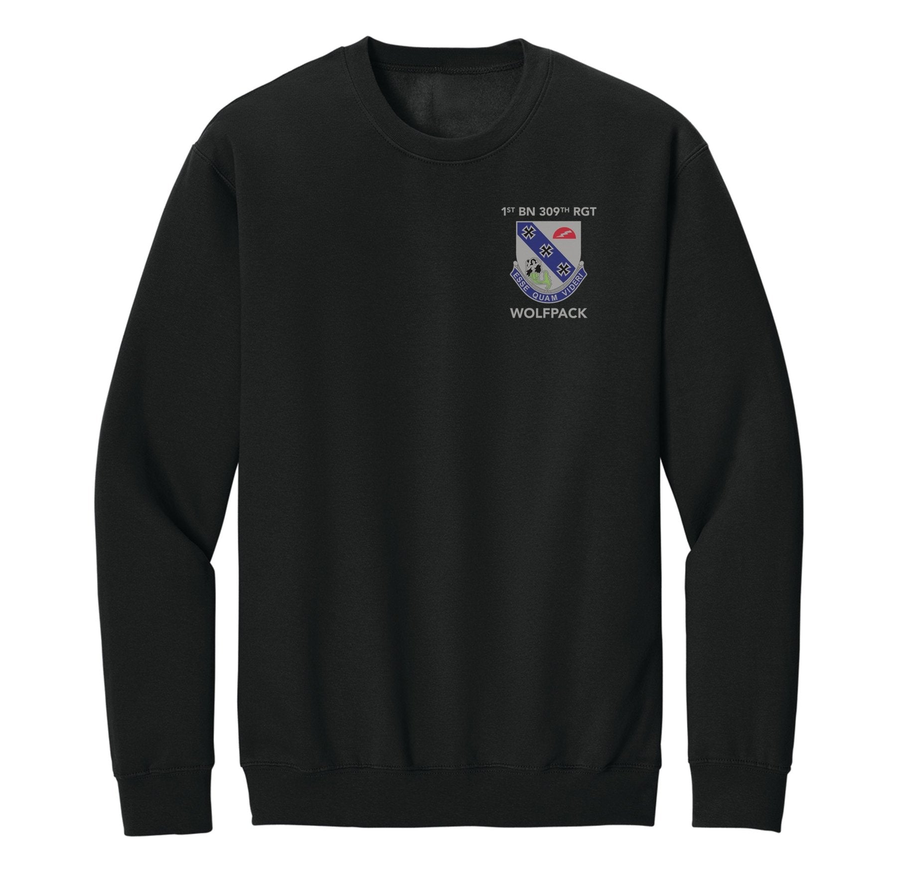 1st BN 309th RGT Sweatshirt - Small - Private Hoodie