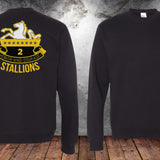 2 - 8 CAV Stallions PT Sweatshirt - Small - Private Sweatshirt