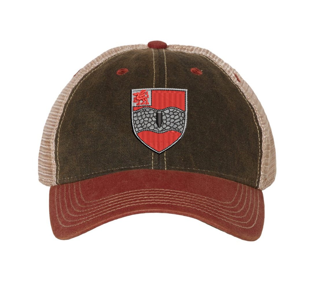 2 - 82FA Steel Dragon Legacy Dad Cap - OSFA - Private Headwear