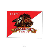 C TRP - 4 - 9 CAV "Guidon" Sticker - 4" - Private Sticker