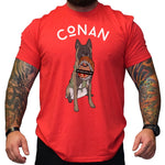 Conan K9 - Small - Shirt