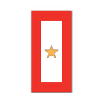 Gold Star Sticker - 2" x 4" - Sticker