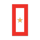 Gold Star Sticker - 2" x 4" - Sticker