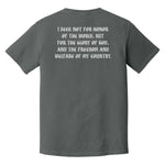 I Seek Not Heavyweight Tee - Small - Shirt