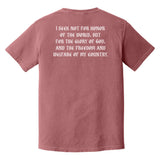 I Seek Not Heavyweight Tee - Small - Shirt