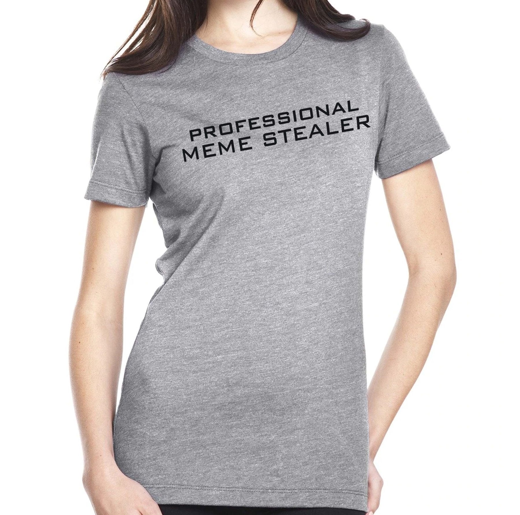 Ladies Professional Meme Stealer - Small - Shirt