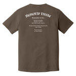 Memento Vivere Heavyweight Tee - Small - Shirt