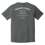 Memento Vivere Heavyweight Tee - Small - Shirt