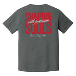 Shaping Souls Heavyweight Tee - Small - Shirt