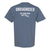 Something Aint Right Heavyweight Shirt - Small - Shirt