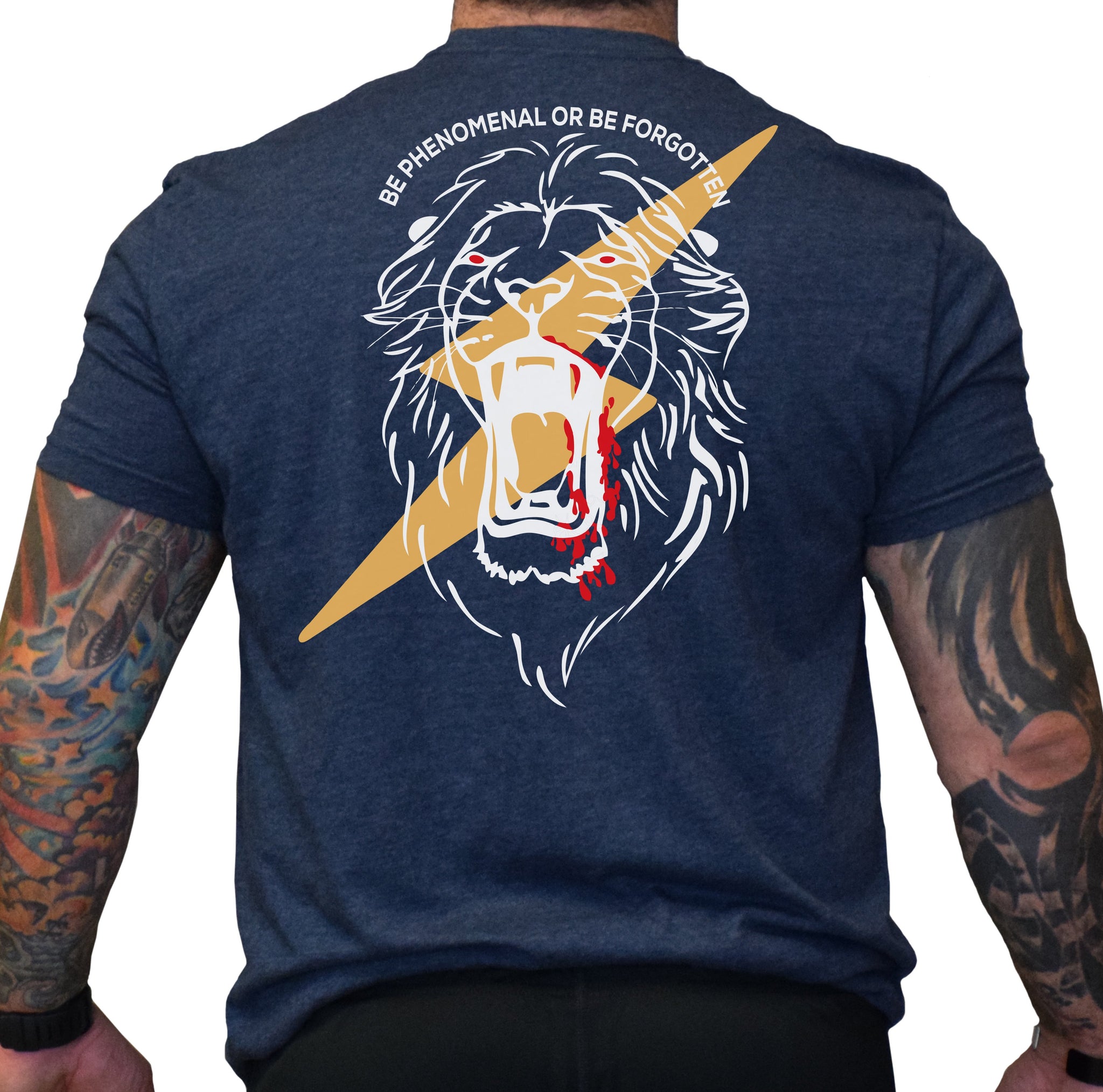 SSI Lion Lightning